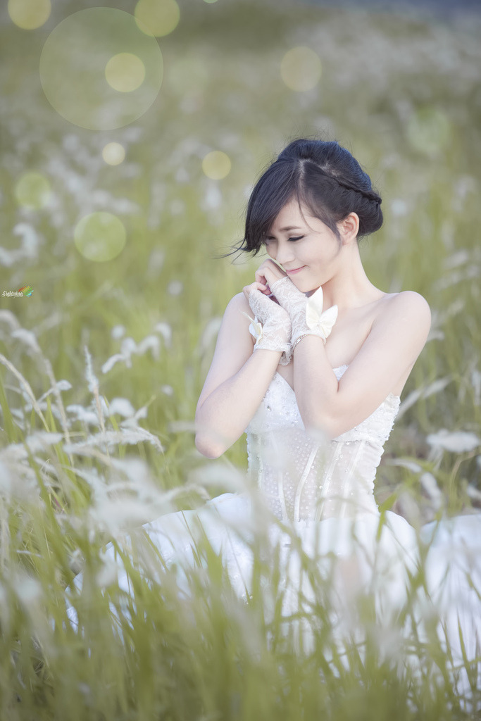 妻子的朋友